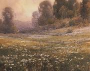 unknow artist California landscape oil painting picture wholesale